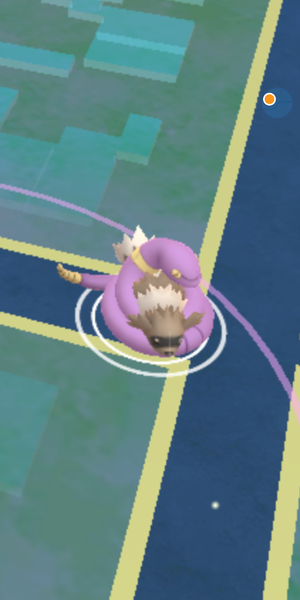 PokemonGo #20. There's a Ratatta in my kitchen, chuck a ball at it.