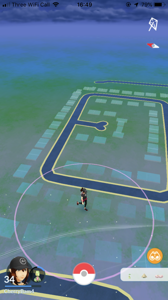 PokemonGo #20. There's a Ratatta in my kitchen, chuck a ball at it.