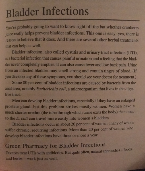 Any Witches Here Part 4 [Edited by MNHQ]