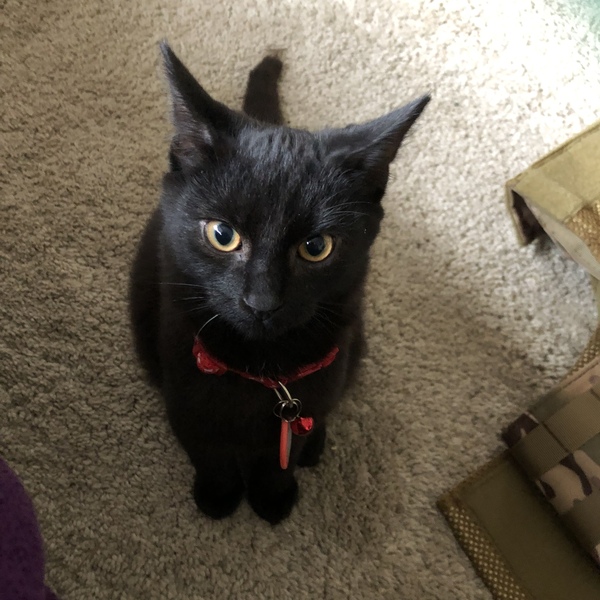 Floofy photos on Sunday