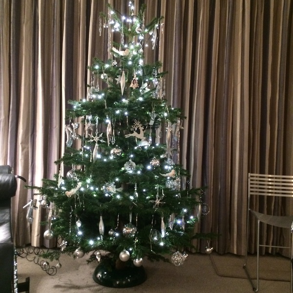 If you already have your tree up can I see it please?