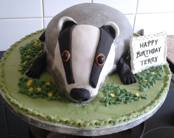 To ask if this a hedgehog cake fail ?