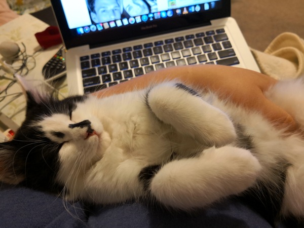 Paint me like one of your Apprentice girls