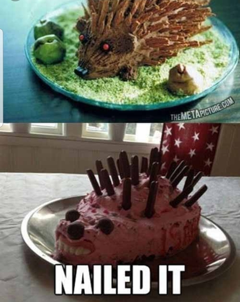 To ask if this a hedgehog cake fail ?