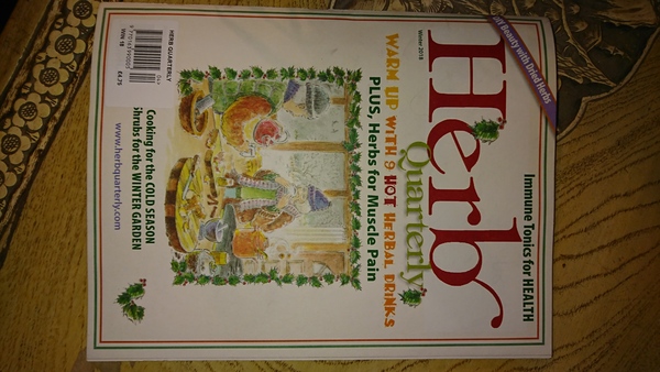 Any Witches Here Part 4 [Edited by MNHQ]