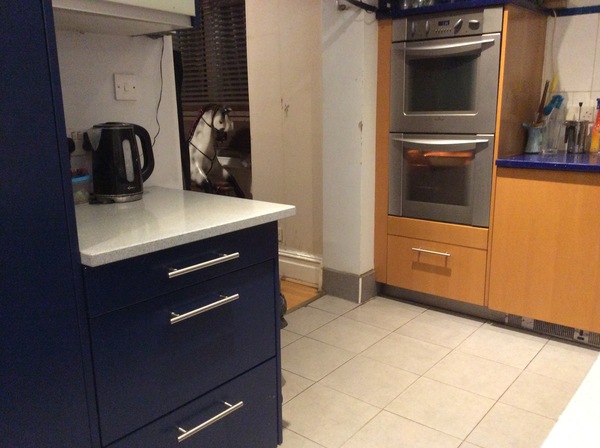 REALLY Panicking about new blue kitchen
