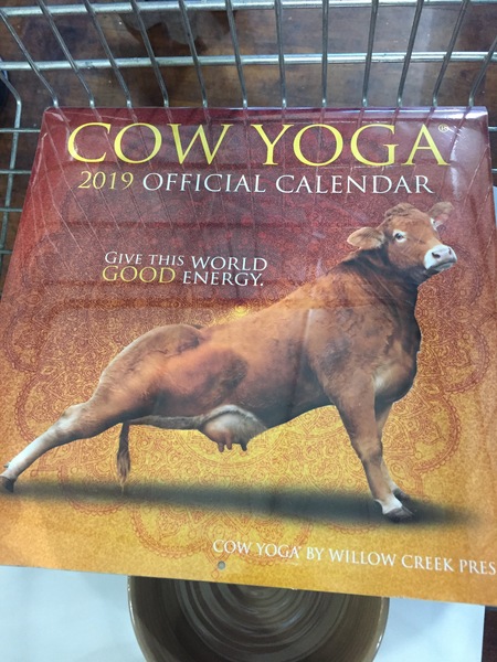 Nearly November; Friendly Frugaleers Navigating (K)nitting, Nattering and Nuturing our Pennies