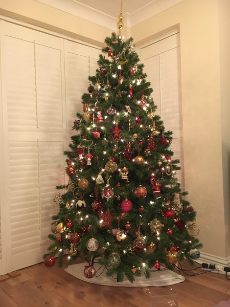 If you already have your tree up can I see it please?