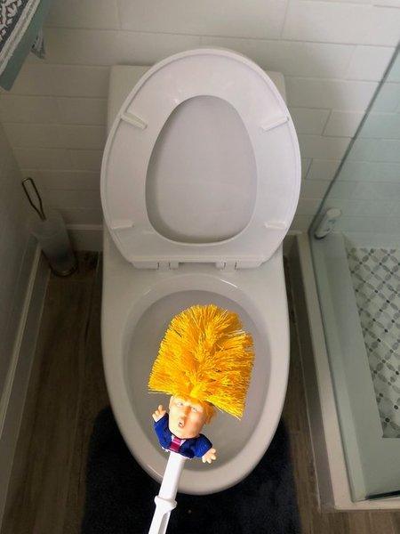 Donald Trump - making toilet brushes great again