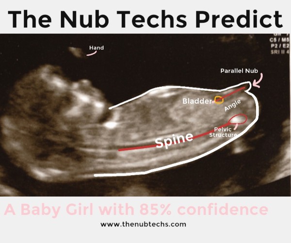 June 2019 - thread 3