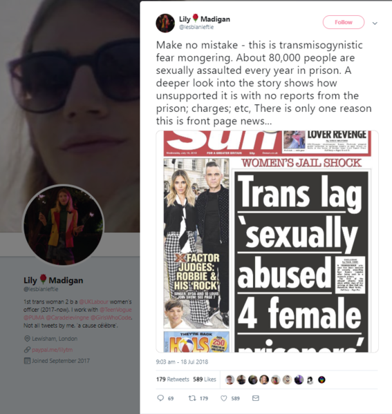 Lily Madigan and the School Saga