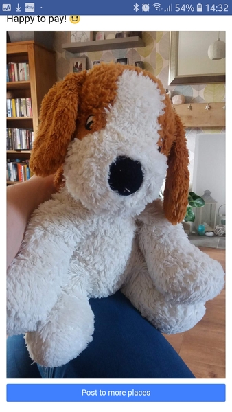 AIBU to ask for your help tracking down another 'Big Dog'?
