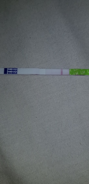 2 week wait
