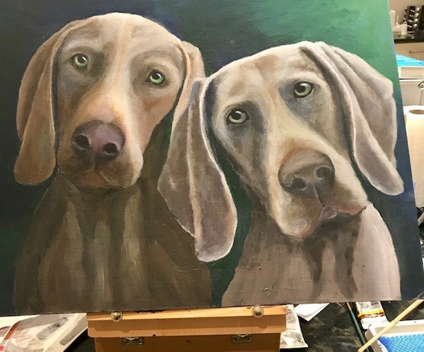 Dog portraits