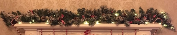Where can I get a mantel garland please?