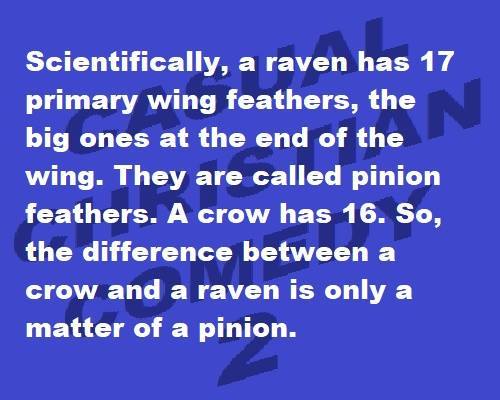 What can I buy from Argos for £4ish to win a bet?
