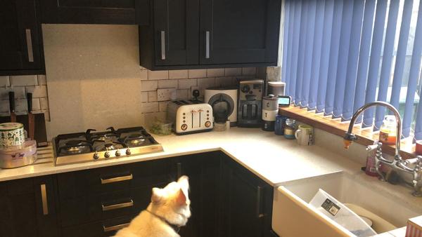 REALLY Panicking about new blue kitchen