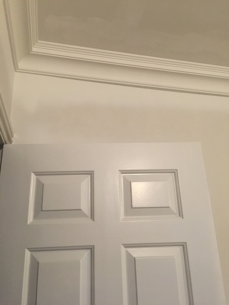 F&B ammonite in hallway?
