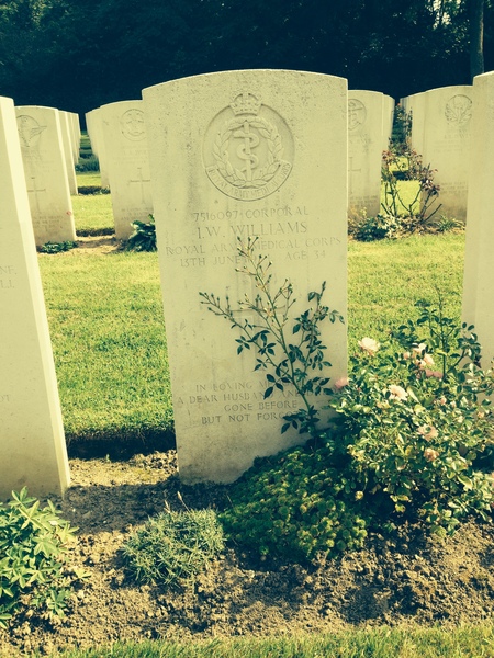 Ds, Remembrance Day, white poppy- Daily Mail do your worst!