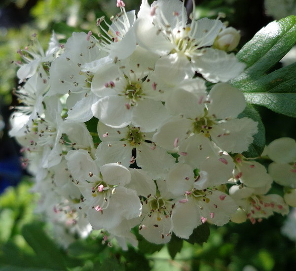 Any Witches Here Part 4 [Edited by MNHQ]