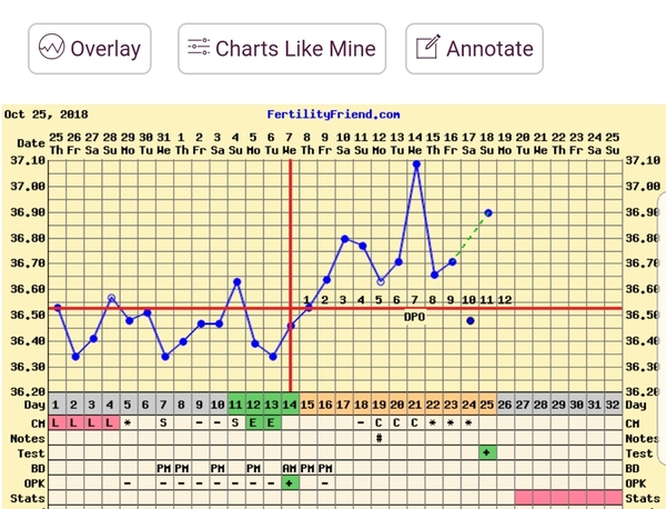 BBT charts