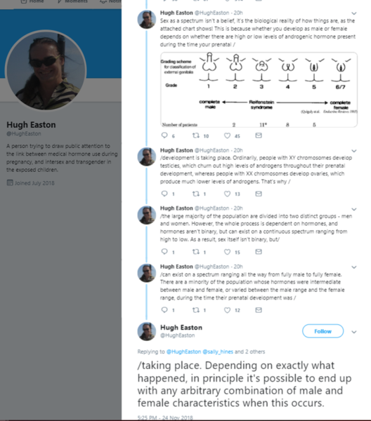 Sally Hines accuses Professor Rosa Freedman of being mean on Twitter