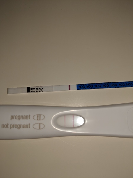 Anyone just found out they're pregnant?