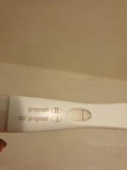 Weird line on FRER