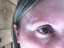 What would you do with eyebrows like these?