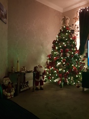If you already have your tree up can I see it please?