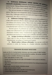 Any Witches Here Part 4 [Edited by MNHQ]