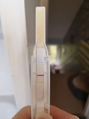 Frer indents and bfps?