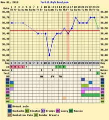 TTC FIRST BABY - THREAD NO.8