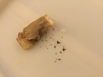 What the f*** is this?