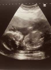 The March-ers 2019 - #7