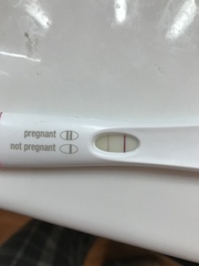 July 2019 Part 3 - Still in the 1st Trimester!