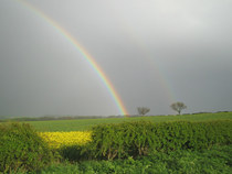 Any Witches Here Part 4 [Edited by MNHQ]