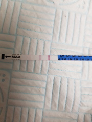 Opk