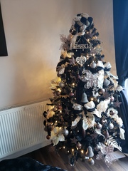 If you already have your tree up can I see it please?