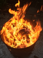 Any Witches Here Part 4 [Edited by MNHQ]