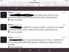 To think mumsnet is full of hate crime?