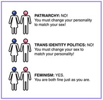 Event in Bath: Transphobia in the UK: confronting anti-trans fear mongering