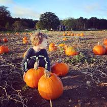 Mumsnet users share their half term plans with Arla BIG Milk