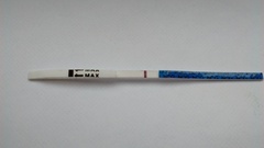 Bfp or indent line?
