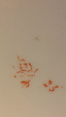 Derby Marks, is my bowl this old