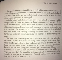 Any Witches Here Part 4 [Edited by MNHQ]