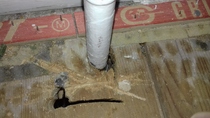 Carpentry advice needed