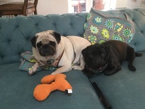 To ask how you stay motivated for big crochet/knitting projects