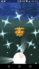 PokemonGo #20. There's a Ratatta in my kitchen, chuck a ball at it.