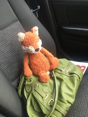 Is anyone in Okehampton... please will you keep an eye out for my nephews beloved toy fox?